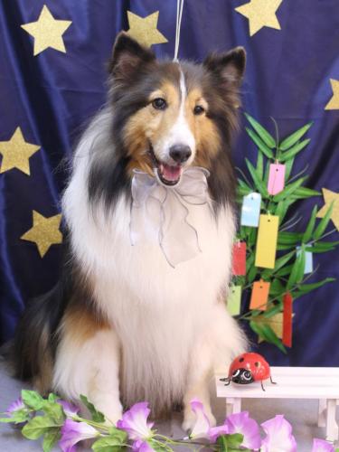 20230704ヒューゴくん